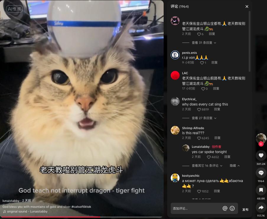 猫猫中文说唱火爆TikTok，神秘东方AI硬控老外