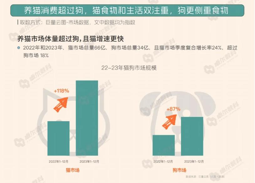 猫猫中文说唱火爆TikTok，神秘东方AI硬控老外