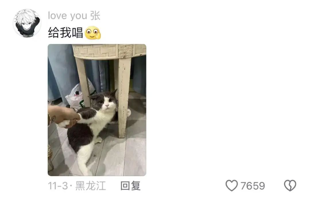 猫猫中文说唱火爆TikTok，神秘东方AI硬控老外(图4)