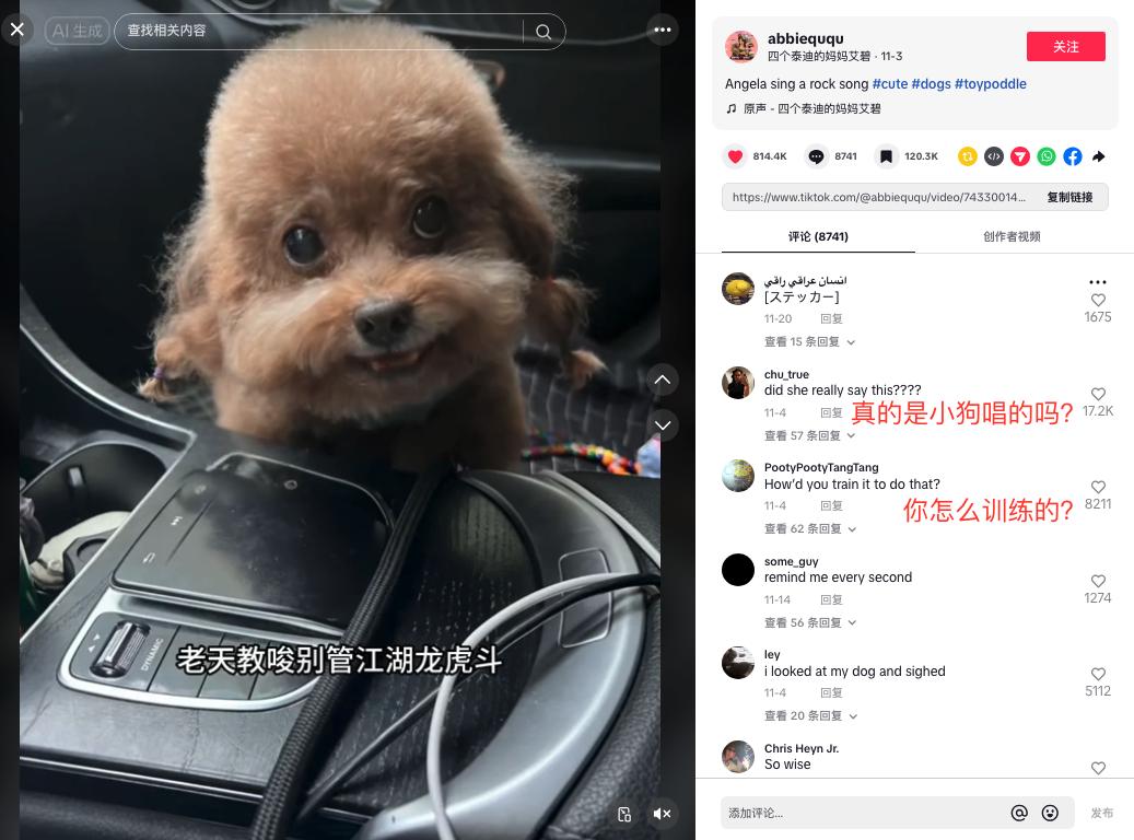 猫猫中文说唱火爆TikTok，神秘东方AI硬控老外