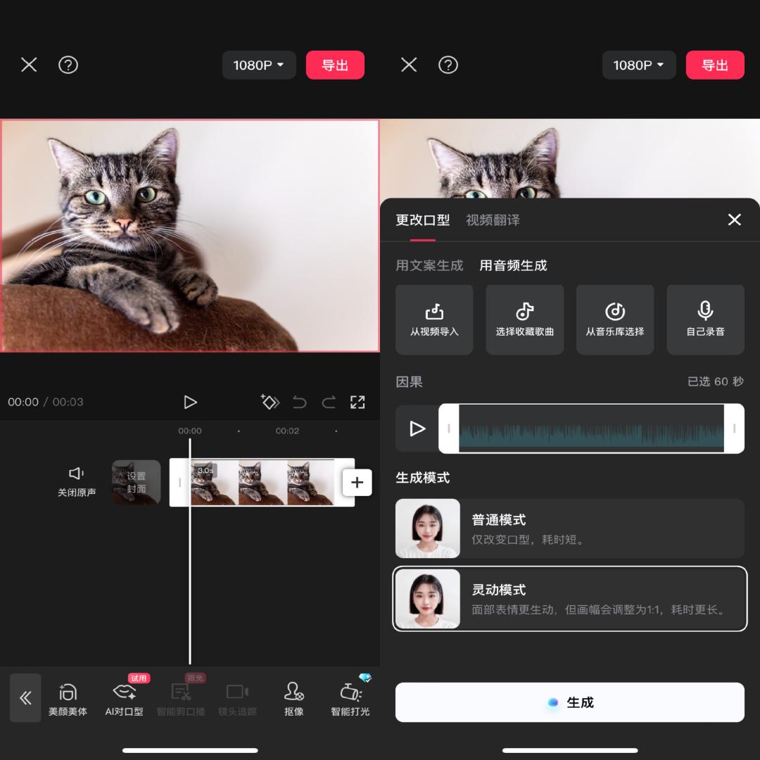 猫猫中文说唱火爆TikTok，神秘东方AI硬控老外