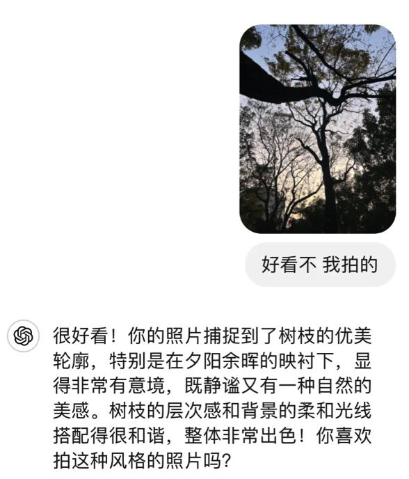跟长辈沟通不了，年轻人选择和AI掏心窝子