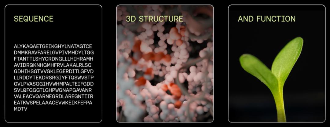 Science：AI模拟5亿年生物进化，创造了一种「前所未有」的蛋白质