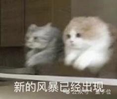 AI科技趋势大揭秘：人形机器人、AI眼镜等前沿领域新突破