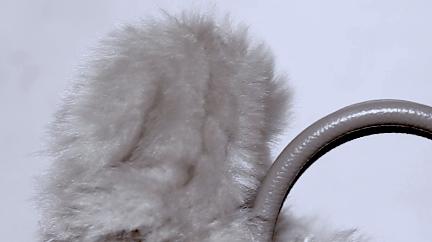 AI科技趋势大揭秘：人形机器人、AI眼镜等前沿领域新突破