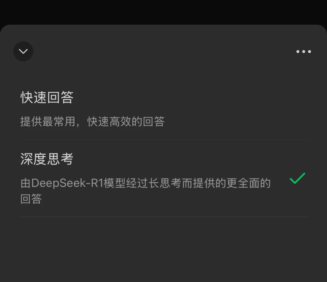 两个模型选项，DeepSeek R1驱动