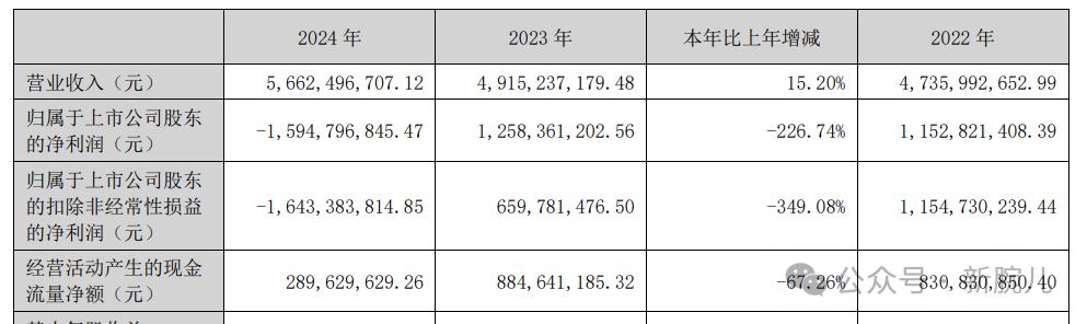 三大海外短剧平台2024年业绩公布：都赚钱了(图7)