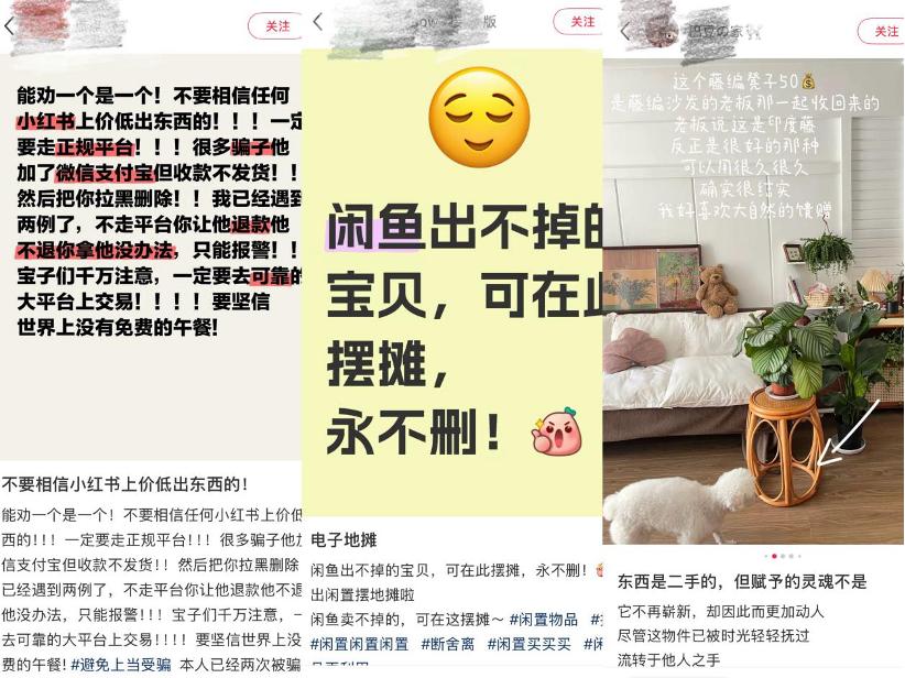闲鱼经济，火在小红书？(图8)