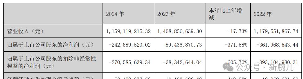 三大海外短剧平台2024年业绩公布：都赚钱了(图6)