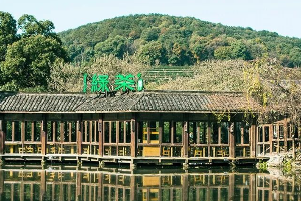 浙江老板敲钟，绿茶集团上市遇冷