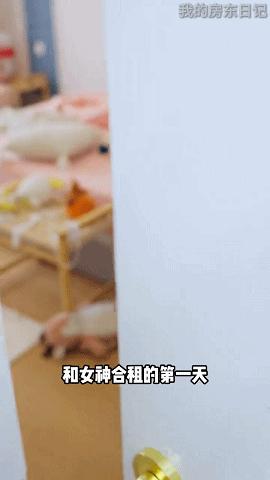 美女+逆袭最高TOP3，广州上海厂商加码，又一小游戏