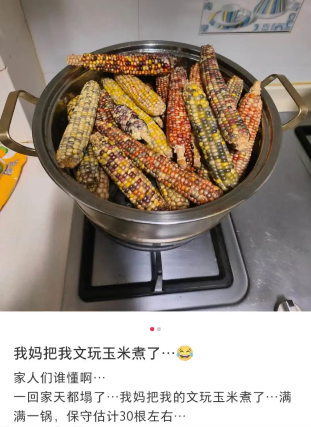 一根文玩玉米开价10万，年轻人迷上电子布洛芬(图9)