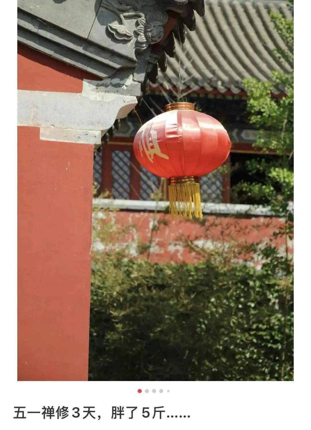 第一批去寺庙「减脂」的人，胖了11斤(图13)