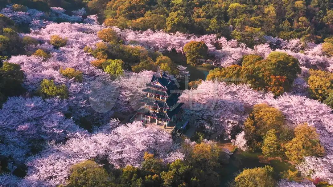 一夜爆火的“苏超”，背后有高人_https://www.izongheng.net_快讯_第9张
