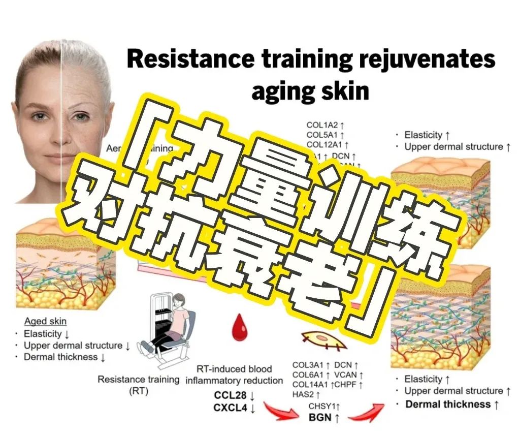 _力量型训练的种类_流动力量训练