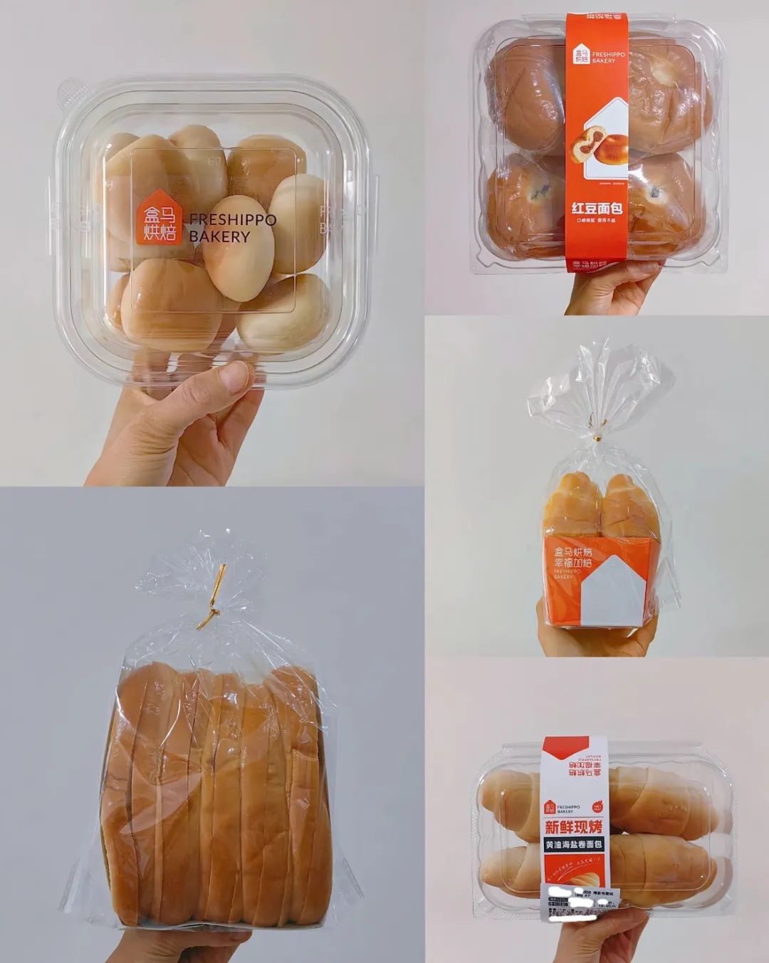 _监视者们松鼠_松鼠面包虫