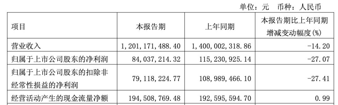 _松鼠面包虫_监视者们松鼠