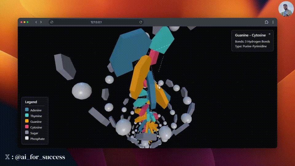3D DNA模型