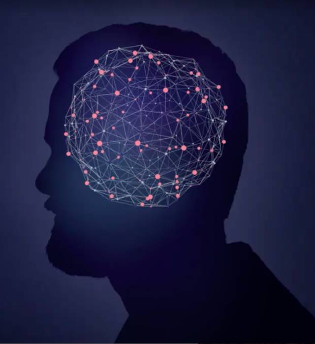 剧院时光为何美好惬意？神经美学探索艺术与大脑的关系