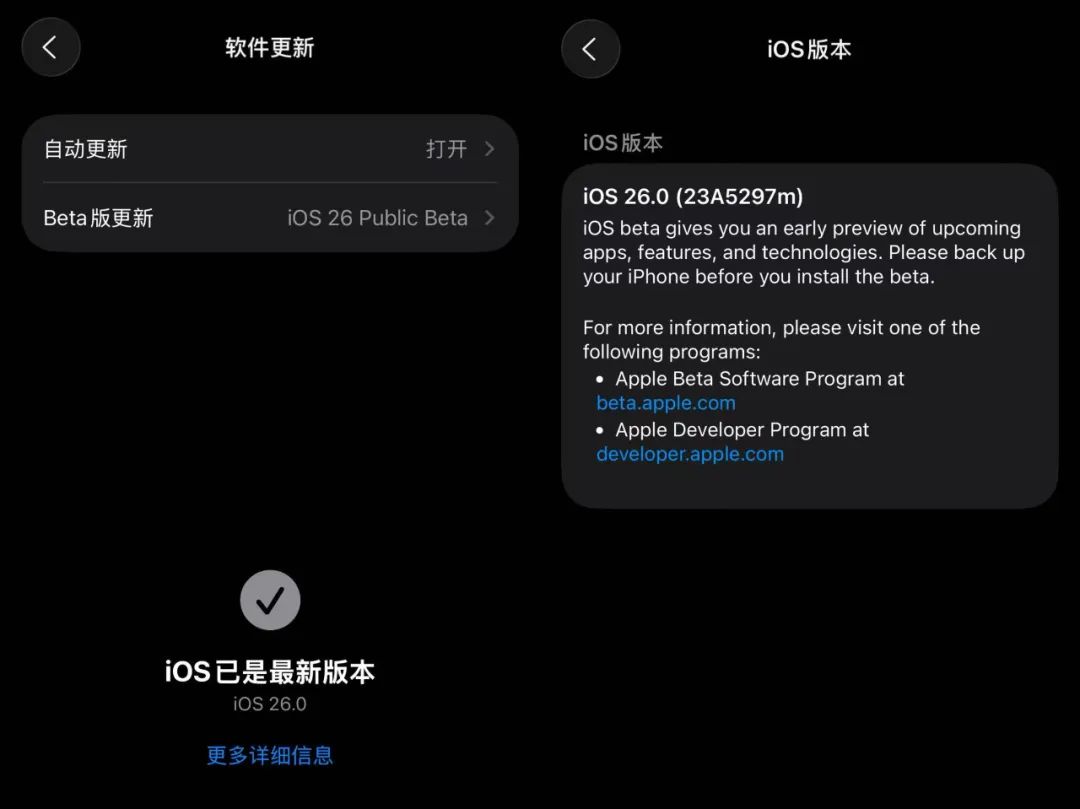 iOS 26 公测版上手体验：iPhone 系统未来十年长这样？