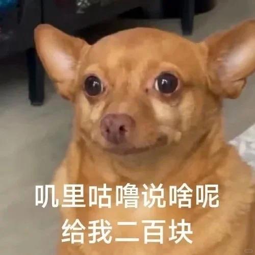 兰陵县医院强奸事件不知道我们什么观点