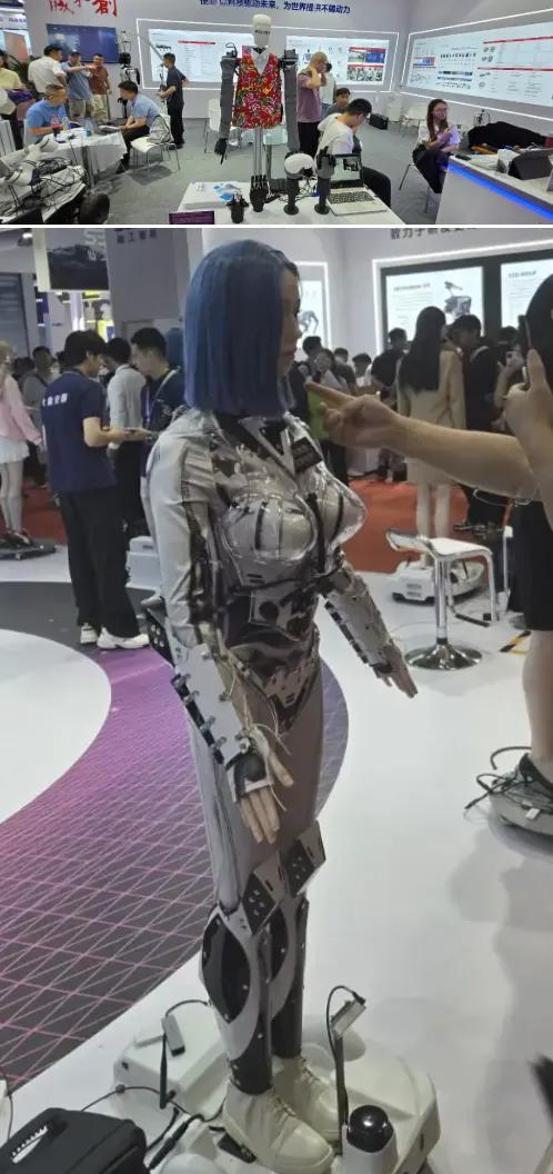 涡阳高公镇强奸犯作为历届最大的一次展会