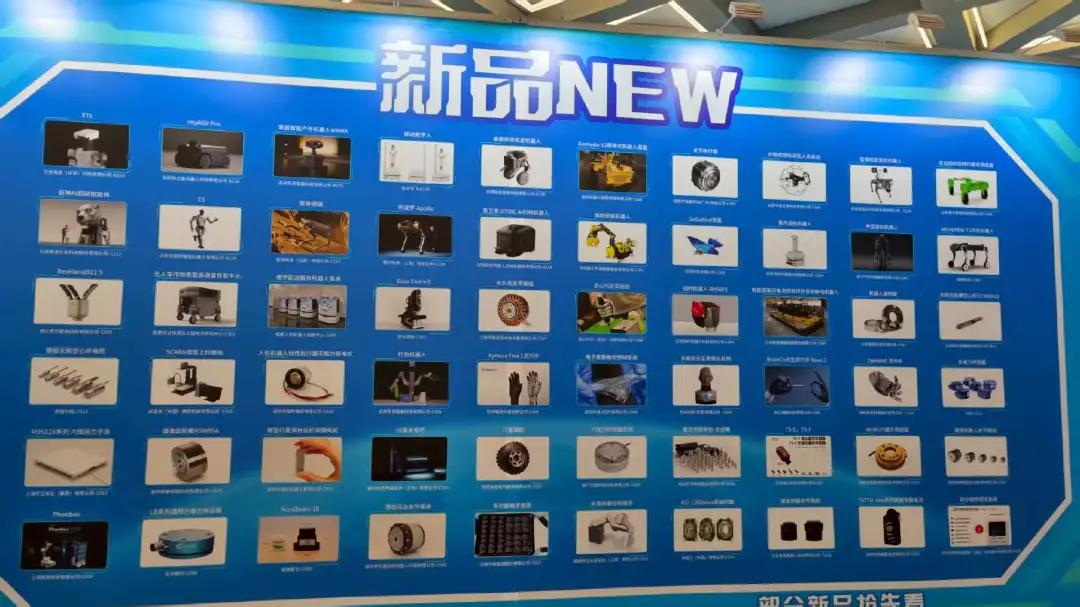 涡阳高公镇强奸犯作为历届最大的一次展会