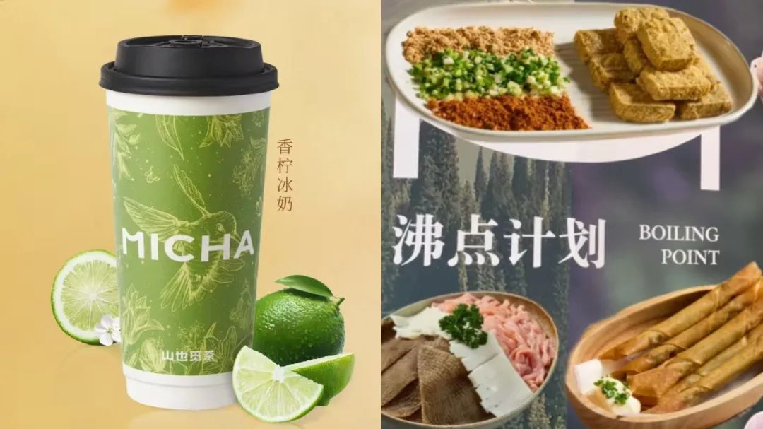血色情缘电视剧,乃至年头时还传出要造飞机313白色情人节