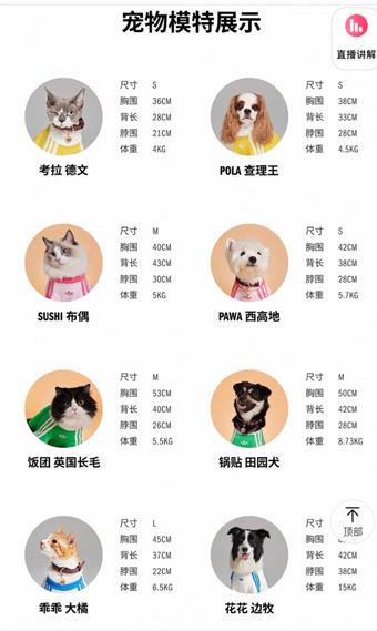 爱得拥抱动漫在线观看-每次野外步行都会带着阿尔法-追杀圣母动漫在线观看