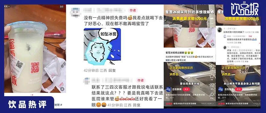 饮品报 饮品新媒体 yinpinbao.cn