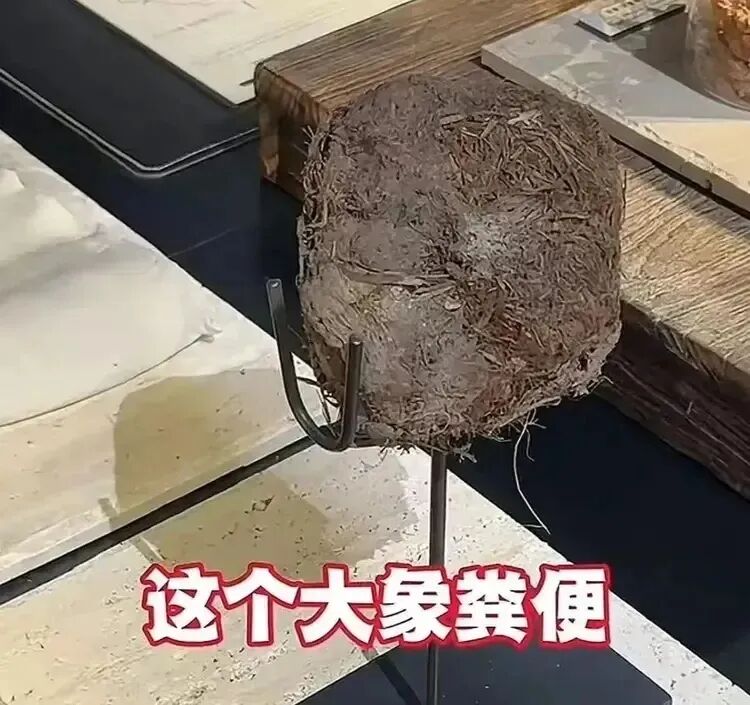 餐飲界 餐飲新媒體