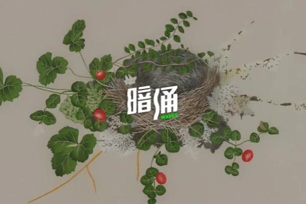 一年管理70亿美元预算，最懂全球流量的人做了款AI agent