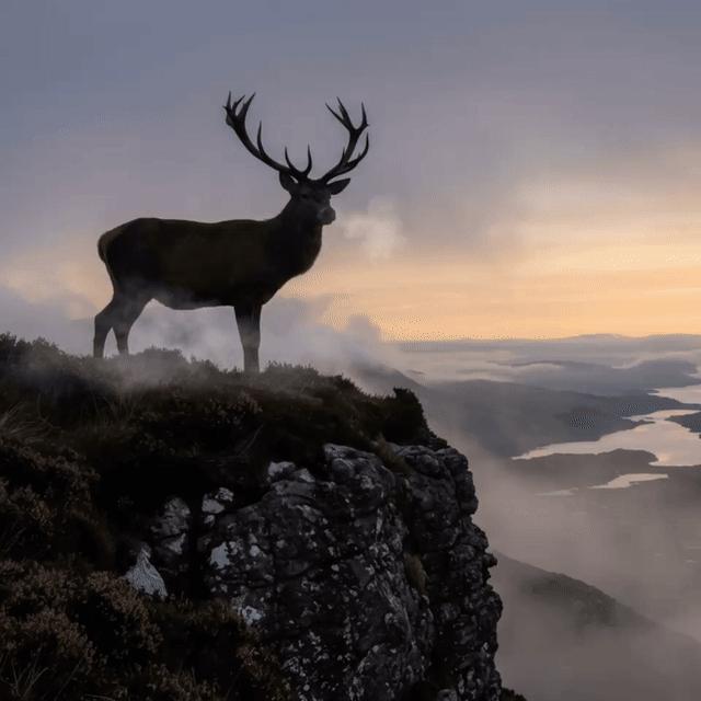 谷歌深夜发布Nano Banana Pro：AI图像生成模型以像素级细节与完美汉字渲染引领行业变革 谷歌AI  Nano Pro 图像生成模型 文本渲染技术 第65张