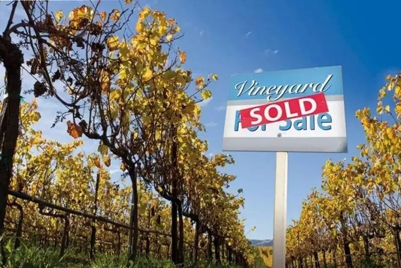 中产最爱的「装腔消费」，崩盘了？_https://www.izongheng.net_快讯_第5张