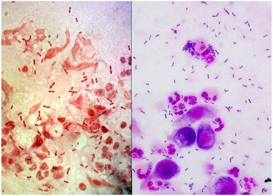 4D影院水雾特效惊现恶臭，细菌污染引发健康担忧 4D电影  水雾系统 细菌滋生 公共健康 第5张