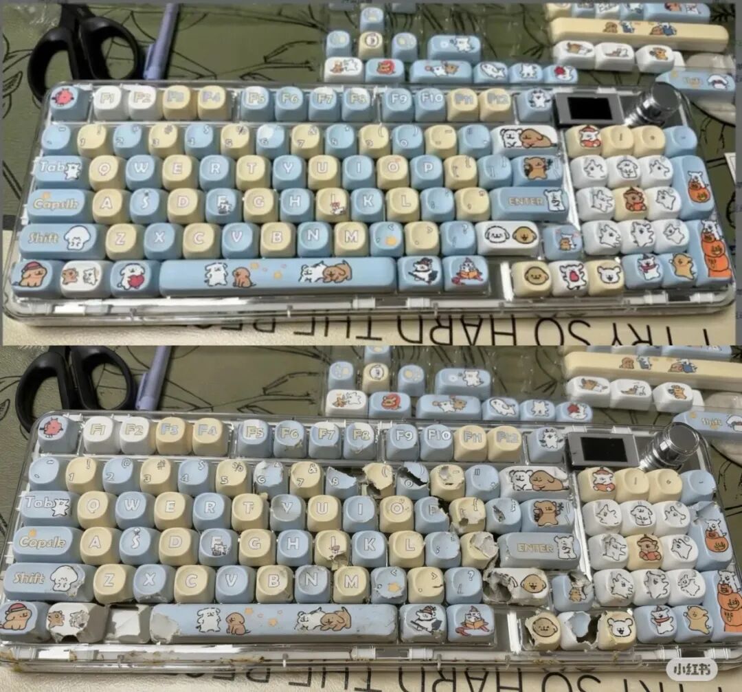 AI造假零门槛：当造假成为普通人的日常