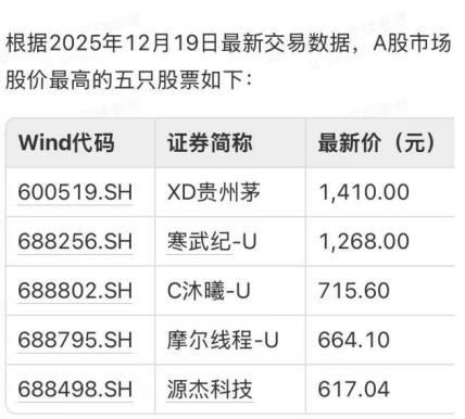 壁仞科技港股IPO招股启动，高端GPU估值逻辑重塑国产芯片新格局 壁仞科技 高端GPU 估值逻辑 港股IPO 第1张