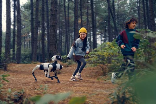 原地平线智能驾驶总裁创业机器人一年：9988元，养一只家里的“小狗哥”