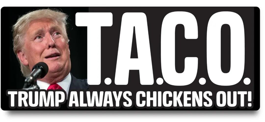 ANTI TRUMP TACO Trump Always Chickens OUT Outdoor Safe Election Bumper  Sticker