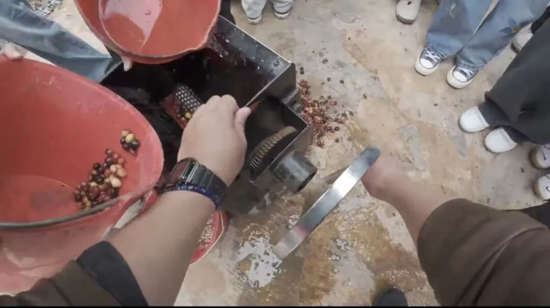 “跟风选择AI专业后，我怀疑自己赌错了”