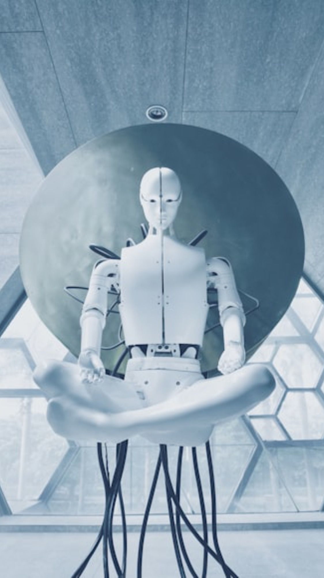 高校买人形机器人，买的是教具还是科技感？